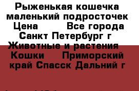 Рыженькая кошечка маленький подросточек › Цена ­ 10 - Все города, Санкт-Петербург г. Животные и растения » Кошки   . Приморский край,Спасск-Дальний г.